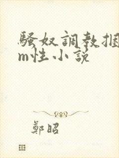 骚奴调教捆绑sm性小说封面