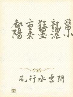 都市狂龙医仙林阳秦墨浓小说