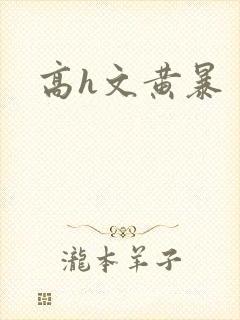 高h文黄暴