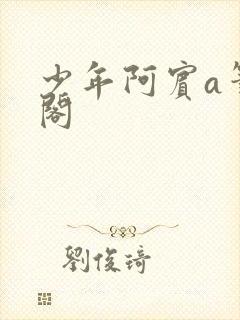 少年阿宾a笔趣阁
