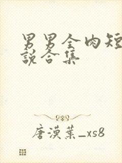 男男全肉短篇小说合集