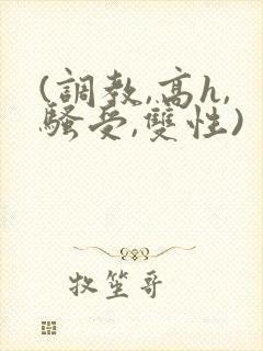 (调教,高h,骚受,双性)