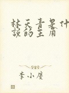 林天青是什么小说的主角