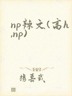 np辣文(高h,np)封面