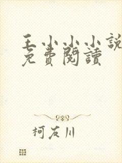 王小小小说全文免费阅读