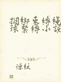 捆绑束缚绳艺口球紧缚小说