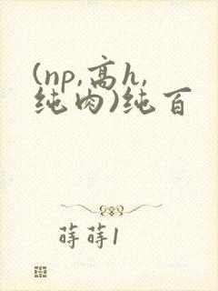 (np,高h,纯肉)纯百