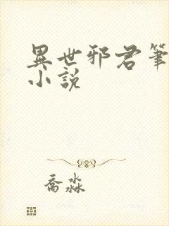 异世邪君笔趣阁小说封面