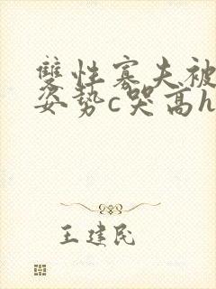 双性寡夫被各种姿势c哭高h文