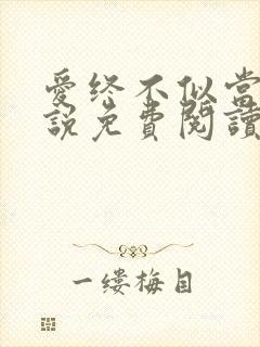 爱终不似当初小说免费阅读