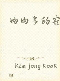 肉肉多的宠文封面