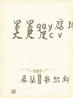 男男gay腐片大尺度cⅴ