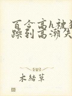百合高h被狂c躁到高潮失禁男男