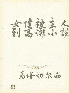 女仆被主人调教到高潮小说