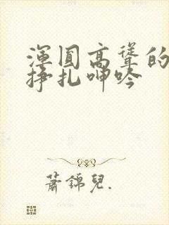 浑圆高耸的人妻挣扎呻吟