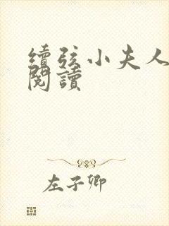 续弦小夫人在线阅读