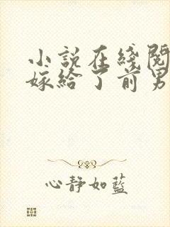 小说在线阅读我嫁给了前男友他堂哥