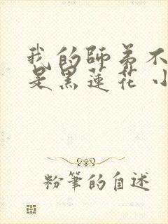 我的师弟不可能是黑莲花 小说封面