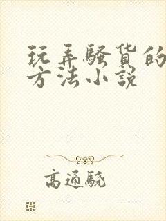 玩弄骚货的各种方法小说封面