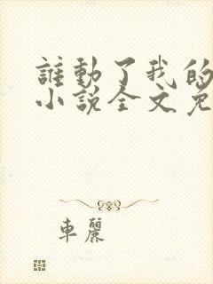 谁动了我的老婆小说全文免费阅读一