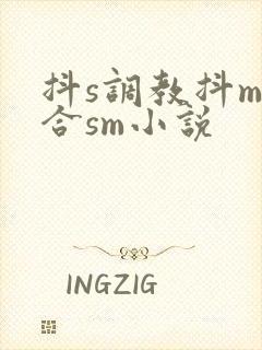 抖s调教抖m百合sm小说
