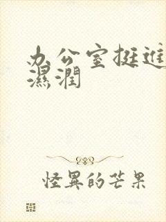 办公室挺进人妻湿润