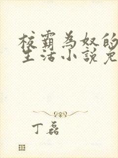 校霸为奴的日常生活小说免费阅读封面