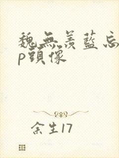 魏无羡蓝忘机cp头像封面