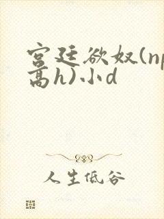 宫廷欲奴(np高h)小d