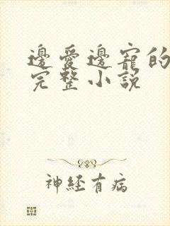 边爱边宠的免费完整小说封面