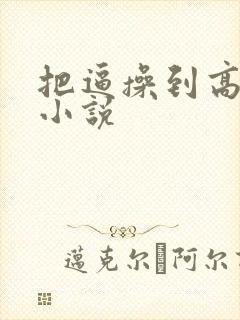 把逼操到高潮的小说