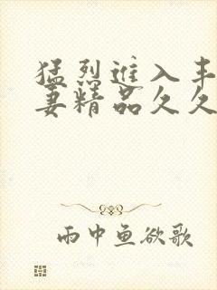 猛烈进入丰满人妻精品久久久