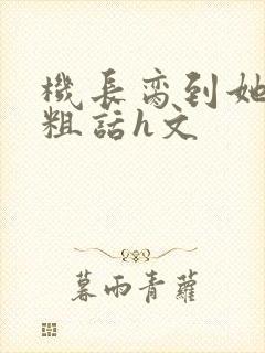 机长脔到她哭h粗话h文封面