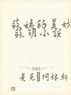 苏姨的美妙人生 苏玥小说