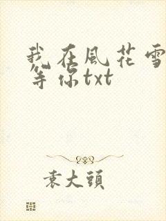 我在风花雪月里等你txt
