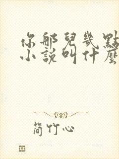 你那儿几点原著小说叫什么封面