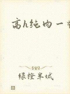 高h纯肉一对一