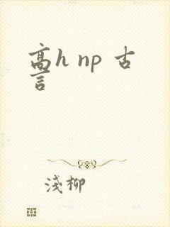 高h np 古言