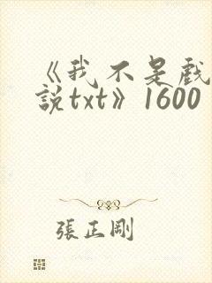 《我不是戏神小说txt》1600