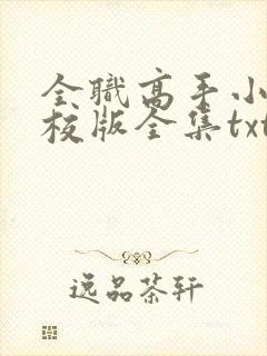 全职高手小说精校版全集txt