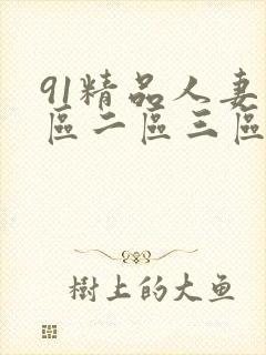 91精品人妻一区二区三区中文字幕封面