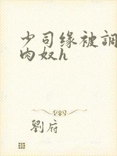 少司缘被调教成肉奴h