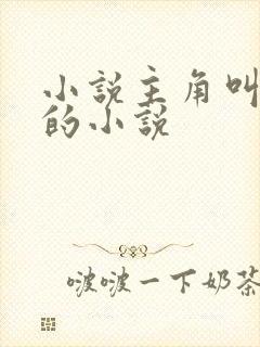 小说主角叫林羽的小说封面