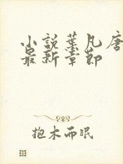 小说叶凡唐若雪最新章节