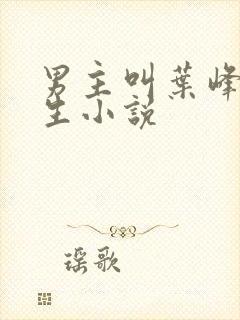 男主叫叶峰的重生小说