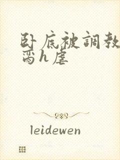 卧底被调教成禁脔h虐