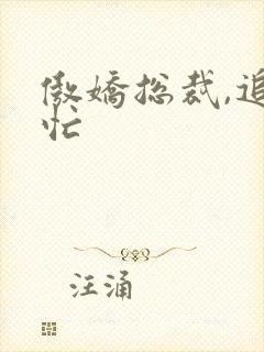 傲娇总裁,追妻忙