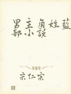 男主角姓蓝的全部小说