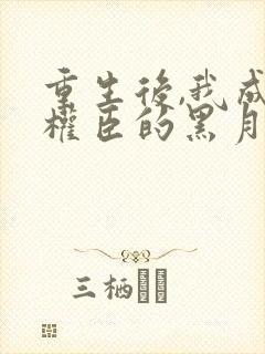 重生后,我成了权臣的黑月光封面