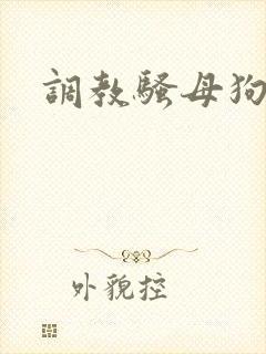 调教骚母狗被艹